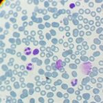 WhatsApp Image 2019-05-18 at 17.19.21