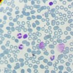 WhatsApp Image 2019-05-18 at 17.19.22(1)